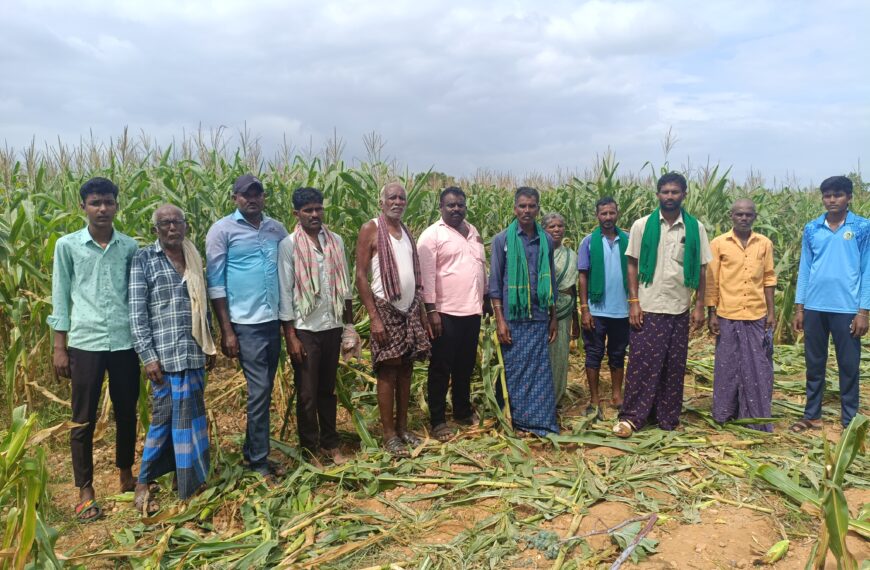 ಹನೂರು – ಕಾಡಾನೆ ದಾಳಿಯಿಂದ ಫಸಲು ನಾಶ ಪರಿಹಾರಕ್ಕೆ ರೈತರ ಒತ್ತಾಯ